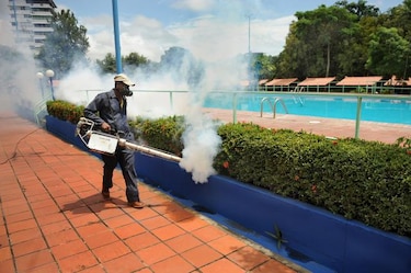 Minsa pide eliminar criaderos de 'Aedes aegypti' y 'Aedes albopictus'