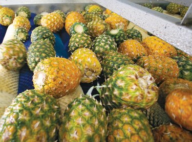 Exportadores piden facilidades ante la Covid-19