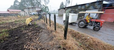 Pandemia y lluvias reducen la oferta de productos agrícolas