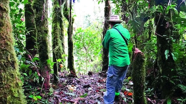 Denuncian daño ambiental en el PILA