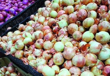 Productores denuncian anomalías en la importación de cebolla