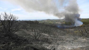 Mejora la situación de los incendios en Francia