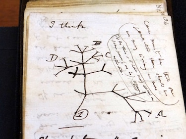 Devuelven cuadernos de Darwin a Cambridge, tras 20 años desaparecidos