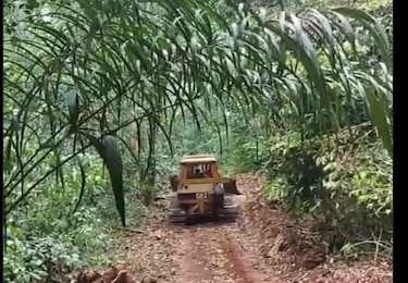 Presencia no deseada: tractor en la Reserva  Natural Punta Patiño, Darién 