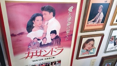 Los altibajos de la telenovela