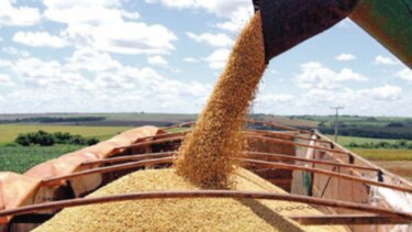 China recurre a Rusia para la compra de soya