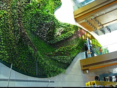 Un jardín en la pared