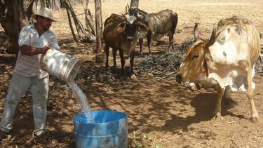 Pozos perforados están sin agua