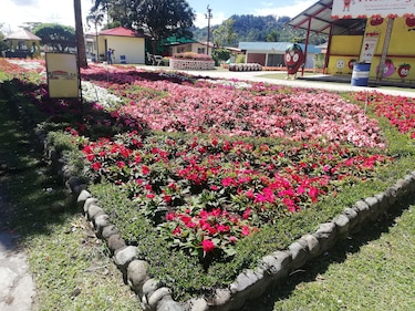 Feria de las Flores y del Café inyecta 12 millones de dólares a la economía regional