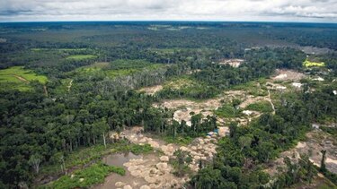 Miles de turistas llegan a la selva amazónica