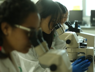 Las mujeres científicas en Panamá son minoría: Senacyt