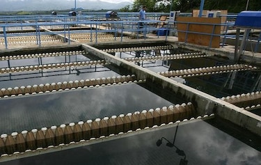 Idaan detiene producción de agua de planta de Pacora