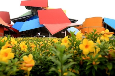 De paseo por el parque botánico del Biomuseo