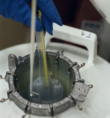 Costa Rica anuncia que pondrá fin a prohibición de fecundación in vitro