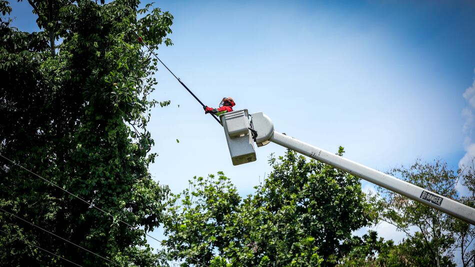Trabajos de mantenimiento en la red eléctrica del 17 al 23 de noviembre 2025