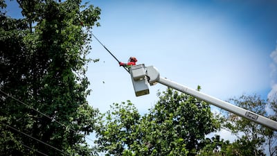 Trabajos de mantenimiento en la red eléctrica del 17 al 23 de noviembre 2025