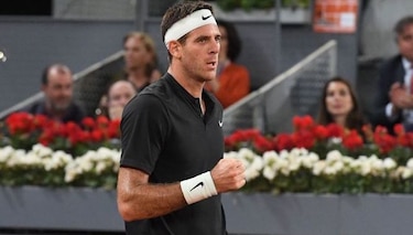 Del Potro avanza a la siguiente ronda