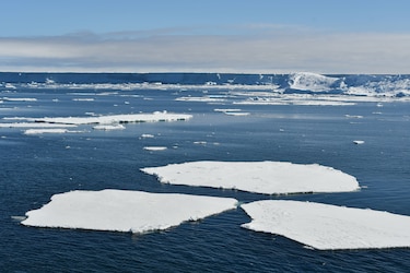Las aguas cálidas se acercan a la Antártida y amenazan con derretir el hielo desde abajo