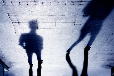 Defensor del pueblo sobre la Alerta Amber: ‘No podemos enterarnos por lo que sube Minseg a Instagram’