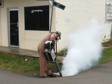 Minsa confirma 62 casos de dengue en Los Santos