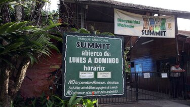 Muere águila harpía que fue rescatada a finales de marzo
