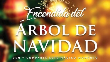Encendida de árbol y mercadito.
