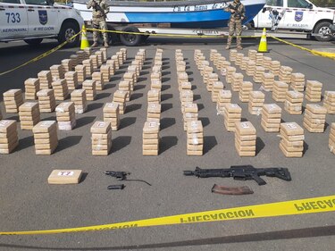 Senan se incauta de 501 paquetes de sustancias ilícitas en Los Santos