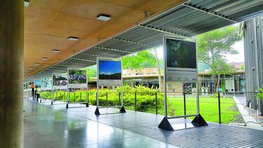 Obra ambiental