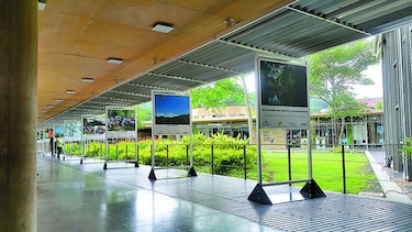Obra ambiental