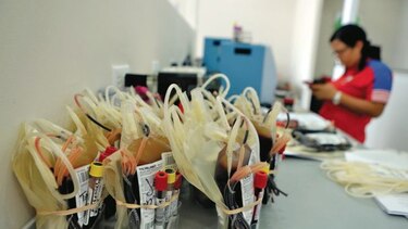 Ejecutivo nombra a miembros de la directiva del patronato del hemocentro