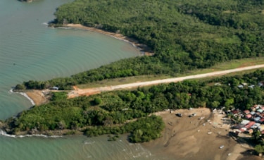 Senan destruyó 6 mil 808 plantas de marihuana en isla de San Miguel