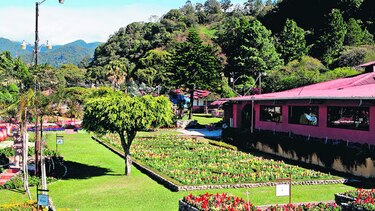 Boquete, flores y café