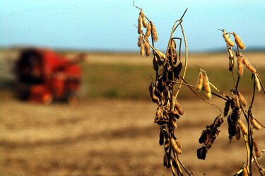Alcaldes de grandes ciudades hacen un llamado a una movilización general contra el cambio climático