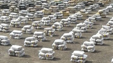 Aprehenden a nueve personas presuntamente vinculadas a la venta de drogas