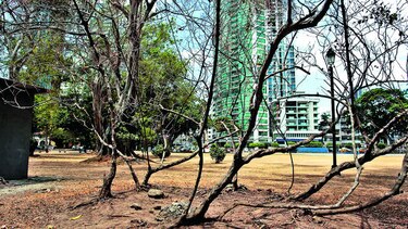 Alcaldía licita obras en parque Urracá por $2.1 millones