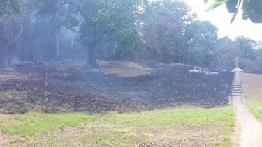 Incendio afecta cementerio francés en Paraíso, Ancón