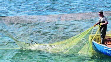 México crea área protegida sin pesca