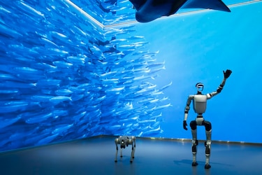 Los robots humanoides salen del laboratorio y preparan un despliegue masivo y millonario