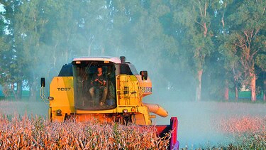 Exceso de agua afecta cultivos en Argentina