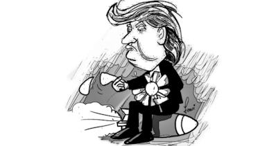 Deshojando la margarita