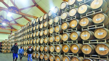 Manufactura repunta en Chile