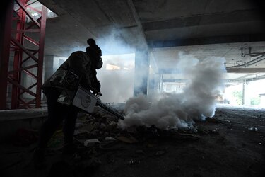 Vacuna del dengue: Panamá la estudia, la OMS la aprueba, pero aún no llega al país