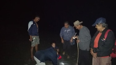 Protegen a cerca de mil 700 embriones de tortugas en vivero artificial de Isla Cañas