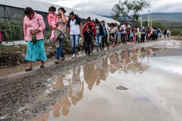 Laicos católicos de México llaman a votar, a pesar de que no hay ‘candidatos perfectos’
