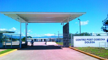 Cadena de Frío reclama fianza a aseguradora