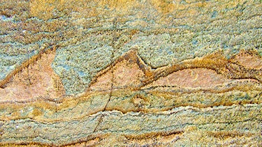 Estromatolitos y el origen de la vida en el planeta