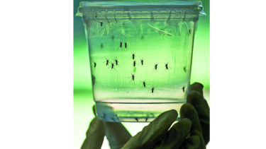 Lo que nos deja 2016 en ciencia