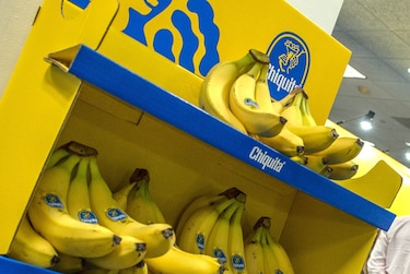 Chiquita deja de consolidar banano tico en Panamá y lo redirige a puerto Gastón Kogan, Costa Rica