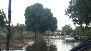 Fuertes lluvias causan afectaciones en residencias y caídas de árboles