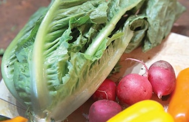 Ingredientes poco seguros en cena de Acción de Gracias